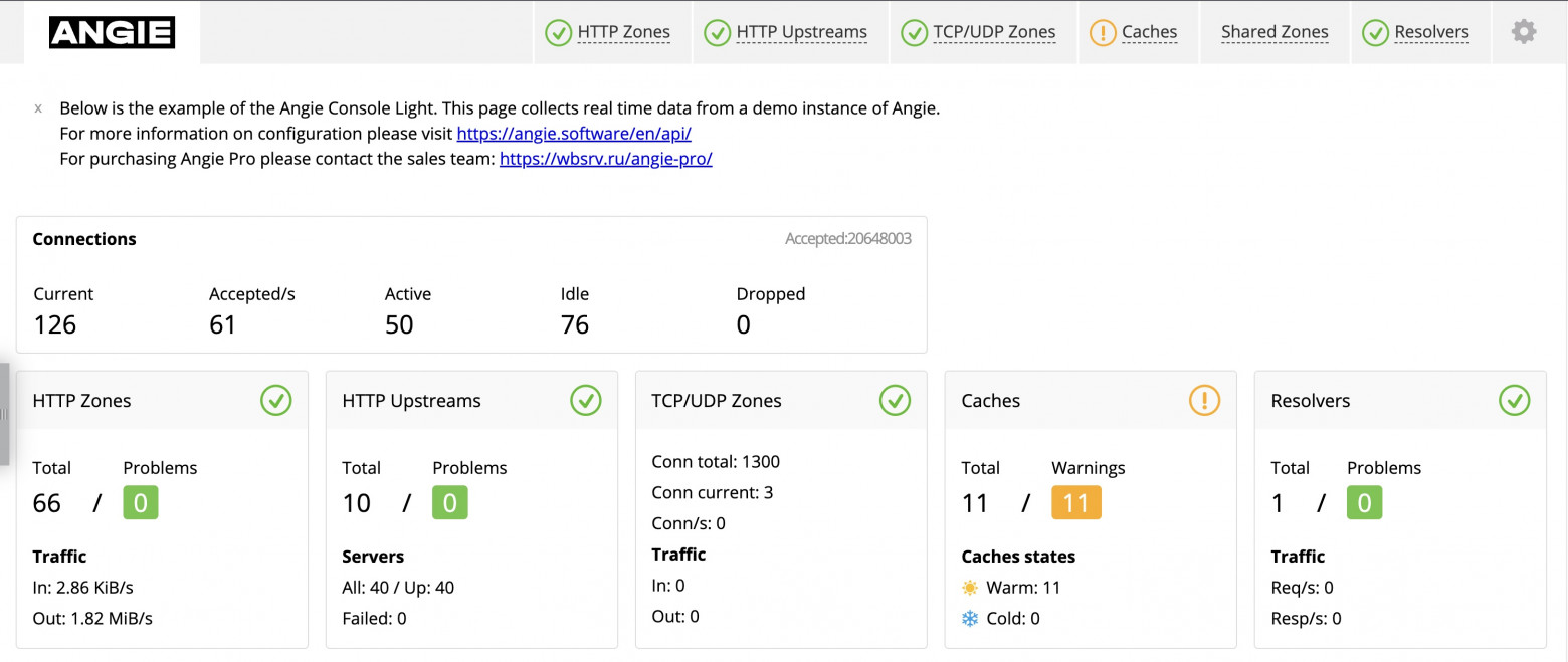 https://console.angie.software/