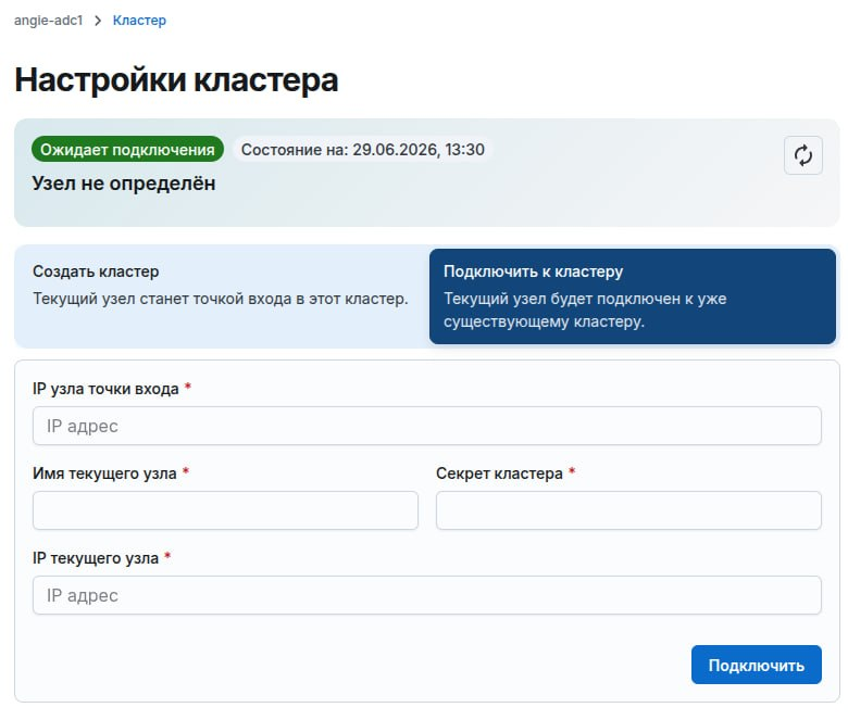 Angie ADC - вкладка "Кластер"