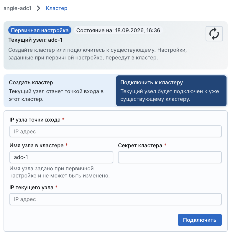 Angie ADC - вкладка "Кластер"