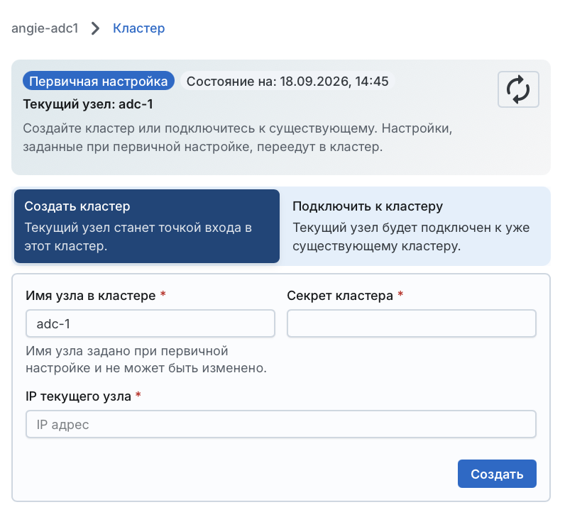 Angie ADC - вкладка "Кластер"